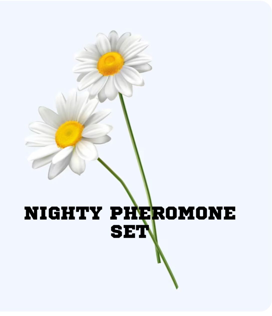 Nighty Pheromone Set